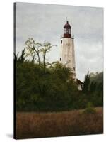 Sandy Hook Lighthouse-David Knowlton-Stretched Canvas