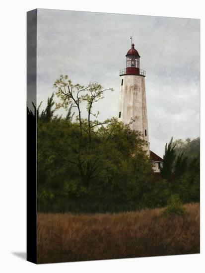 Sandy Hook Lighthouse-David Knowlton-Stretched Canvas