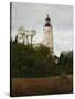 Sandy Hook Lighthouse-David Knowlton-Stretched Canvas