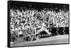 Sandy Koufax (1935-)-null-Framed Stretched Canvas