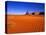 Sandy Landscape in Monument Valley-Robert Glusic-Stretched Canvas