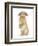 Sandy Lop Rabbit Sitting Up on its Haunches-Mark Taylor-Framed Photographic Print