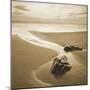 Sandy Mouth-Joe Cornish-Mounted Giclee Print