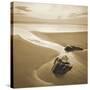 Sandy Mouth-Joe Cornish-Stretched Canvas