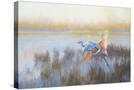 Stretched Canvas