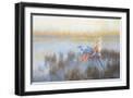 Black Frame