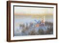 Brown Frame