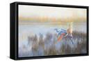 Canvas Black