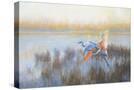 Stretched Canvas