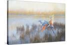 Stretched Canvas
