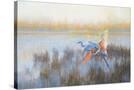 Stretched Canvas
