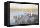 Canvas Black