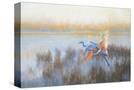 Stretched Canvas