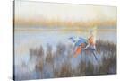 Stretched Canvas