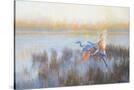 Stretched Canvas