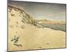 Sandy Ocean Beach-Paul Signac-Mounted Giclee Print