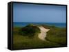 Sandy Path on Martha's Vineyard Beach.-James Shive-Framed Stretched Canvas