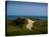 Sandy Path on Martha's Vineyard Beach.-James Shive-Stretched Canvas