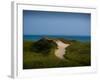 Sandy Path on Martha's Vineyard Beach.-James Shive-Framed Photographic Print