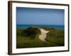 Sandy Path on Martha's Vineyard Beach.-James Shive-Framed Photographic Print