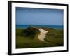 Sandy Path on Martha's Vineyard Beach.-James Shive-Framed Photographic Print