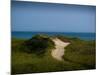 Sandy Path on Martha's Vineyard Beach.-James Shive-Mounted Photographic Print