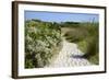 Sandy Path to the Beach, Scrub Plants and Pine Trees in the Background, Costa Degli Oleandri-Guy Thouvenin-Framed Photographic Print