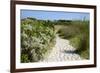 Sandy Path to the Beach, Scrub Plants and Pine Trees in the Background, Costa Degli Oleandri-Guy Thouvenin-Framed Photographic Print