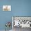 Sandy Rabbit and Two Babies-Mark Taylor-Mounted Photographic Print displayed on a wall
