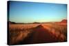 Sandy Road Going to A Farm-watchtheworld-Stretched Canvas