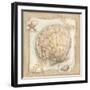 Sandy Scallop-Kate McRostie-Framed Art Print