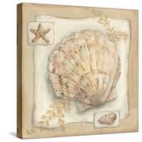 Sandy Scallop-Kate McRostie-Stretched Canvas