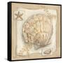 Sandy Scallop-Kate McRostie-Framed Stretched Canvas