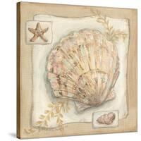 Sandy Scallop-Kate McRostie-Stretched Canvas