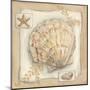 Sandy Scallop-Kate McRostie-Mounted Art Print