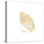 Sandy Shell-Milli Villa-Stretched Canvas