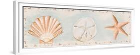 Sandy Shells I-Tiffany Hakimipour-Framed Premium Giclee Print