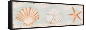 Sandy Shells I-Tiffany Hakimipour-Framed Stretched Canvas