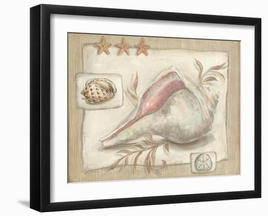 Sandy Shells II-Kate McRostie-Framed Art Print