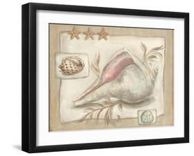 Sandy Shells II-Kate McRostie-Framed Art Print