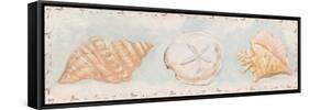 Sandy Shells II-Tiffany Hakimipour-Framed Stretched Canvas