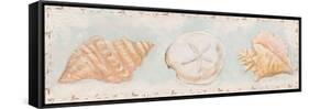 Sandy Shells II-Tiffany Hakimipour-Framed Stretched Canvas