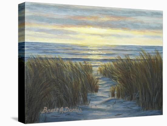 Sandy Shore-Bruce Dumas-Stretched Canvas