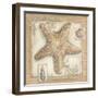 Sandy Starfish-Kate McRostie-Framed Art Print