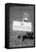 Sandy, the American Red Cross Dog Welcomes Everyone-null-Framed Stretched Canvas