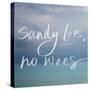 Sandy Toes-Susan Bryant-Stretched Canvas