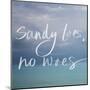 Sandy Toes-Susan Bryant-Mounted Art Print