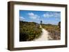 Sandy Walkway on Beach, Georgetown, Great Exumand, Bahamas-null-Framed Photographic Print