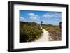 Sandy Walkway on Beach, Georgetown, Great Exumand, Bahamas-null-Framed Photographic Print