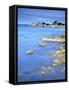 Sandycove, with James Joyce Tower Museum, Dublin, County Dublin, Republic of Ireland, Europe-Jeremy Lightfoot-Framed Stretched Canvas